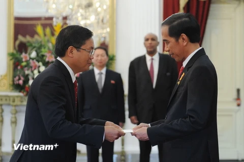 Đại sứ Hoàng Anh Tuấn trình Quốc thư lên Tổng thống nước Cộng hòa Indonesia. (Ảnh: Đỗ Quyên/Vietnam+)
