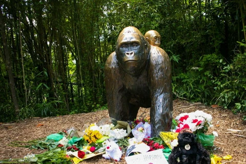 Tượng niệm con khỉ đột bị bắn chết. (Nguồn: Reuters)