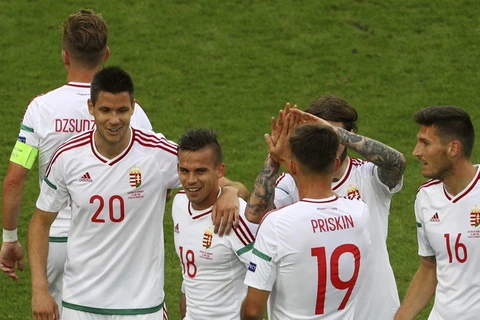 Hungary giành chiến thắng trước Áo. (Nguồn: Getty Images)
