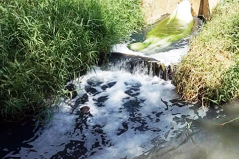 Phát hiện một doanh nghiệp xả nước thải gây ô nhiễm ở Phú Yên