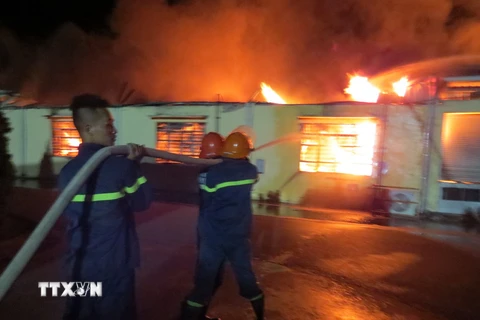 Lực lượng cứu hỏa đang nỗ lực phun nước dập lửa. (Ảnh: Hoàng Ngọc/TTXVN) 