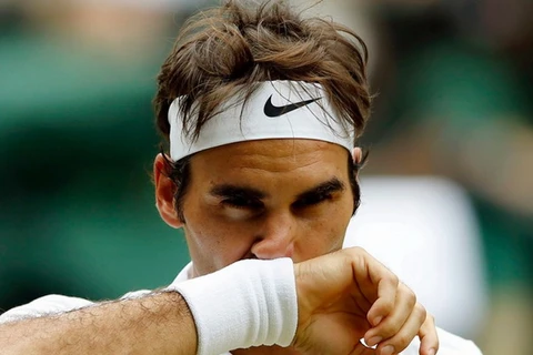 Federer phải nghỉ thi đấu hết năm. (Nguồn: sportsnet)