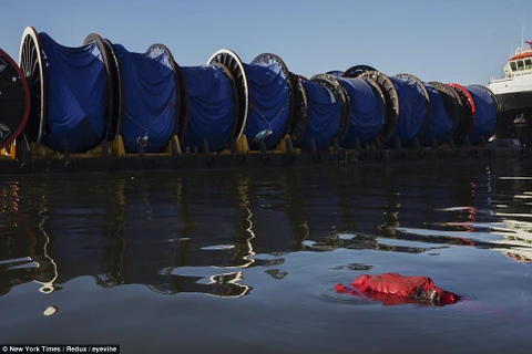 Một thi thể trôi dạt trên mặt nước vịnh Guanabara.