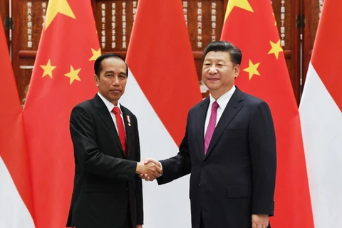 Chủ tịch Trung Quốc Tập Cận Bình đã có cuộc hội đàm với Tổng thống Indonesia Joko Widodo. (Nguồn: AP)