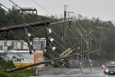 Siêu bão Meranti gây đổ cột điện. (Nguồn: AFP)