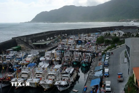 Neo đậu tàu thuyền tránh bão tại cảng Dasi, Nghi Lan, Đài Loan ngày 26/9. (Nguồn: AFP/TTXVN)