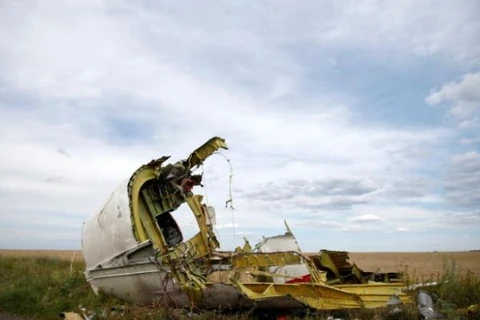 Mảnh vỡ của máy bay MH17. (Nguồn: Reuters)