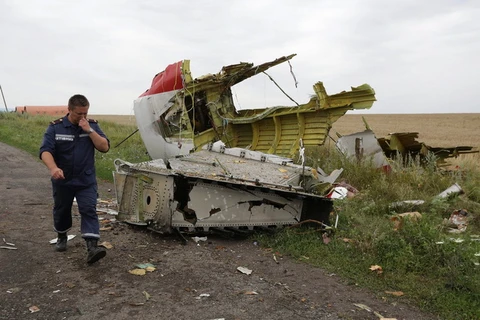 Mạnh vỡ của máy bay MH17. (Nguồn: EPA)