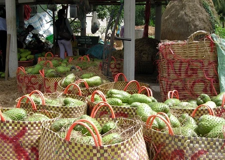 (Nguồn: Tiengiang.gov.vn)