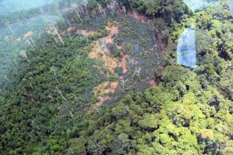 Khu vực sinh sống của bộ lạc Yanomami. (Nguồn: AFP)