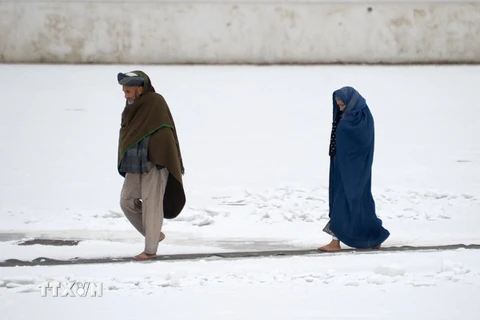 Tuyết phủ dày đặc tại Mazar-i-sharif ngày 24/11. (Nguồn: AFP/TTXVN)