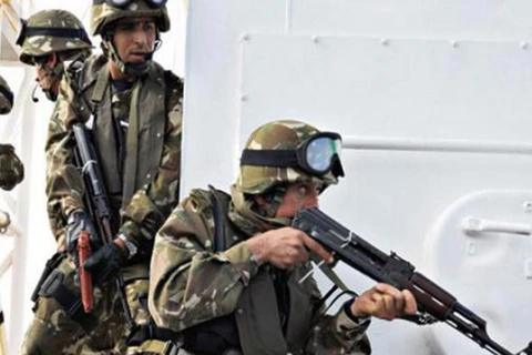 Quân đội Algeria truy quét phần tử khủng bố. (Nguồn: qna.org.qa)