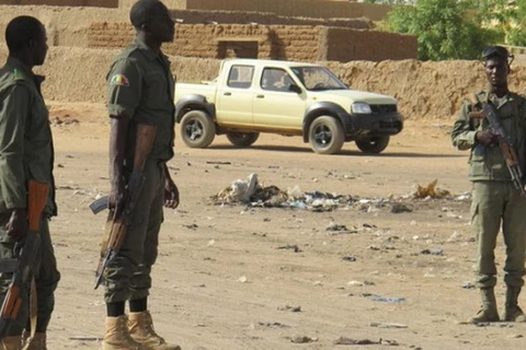Lực lượng binh sỹ Mali. (Nguồn: maliactu.net)
