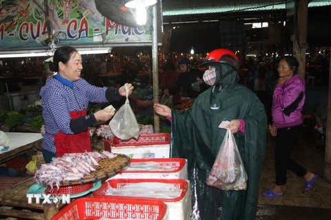 Người tiêu dùng mua mực tại chợ thành phố Hà Tĩnh. (Ảnh: Phan Quân/TTXVN)