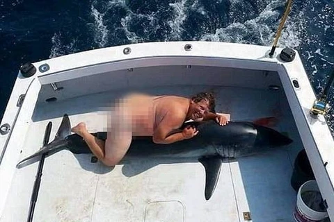 Bức ảnh người đàn ông chụp với xác cá mập gây bức xúc. (Nguồn: Daily Mail)