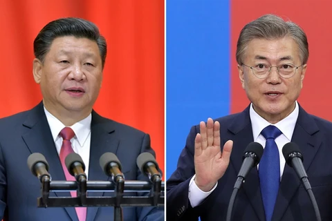 Tổng thống Hàn Quốc Moon Jae-in có thể gặp Chủ tịch Trung Quốc Tập Cận Bình vào đầu tháng 7. (Nguồn: people.cn)