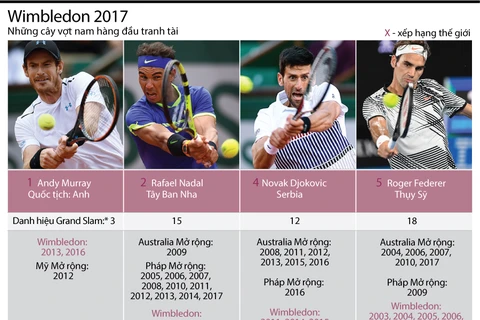 [Infographics] "Nóng" cuộc chiến tranh ngôi vương tại Wimbledon