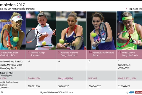 [Infographics] Mỹ nhân hàng đầu đua sắc, tranh tài tại Wimbledon