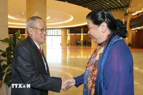 Phó Chủ tịch Thường trực Quốc hội Tòng Thị Phóng đón và hội đàm với Phó Chủ tịch thứ nhất Thượng viện Vương quốc Campuchia Nay Pena. (Ảnh: Doãn Tấn/TTXVN)