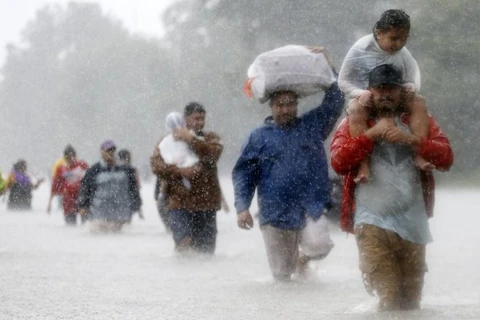 Người dân được sơ tán để tránh bão Harvey. (Nguồn: NY Daily News)