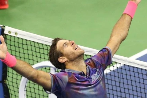 Del Potro thẳng tiến bán kết US Open sau khi đánh bại Federer. (Nguồn: Reuters)