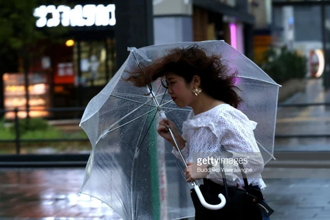 Bão Talim tràn vào Nhật Bản,. (Nguồn: Getty Images)