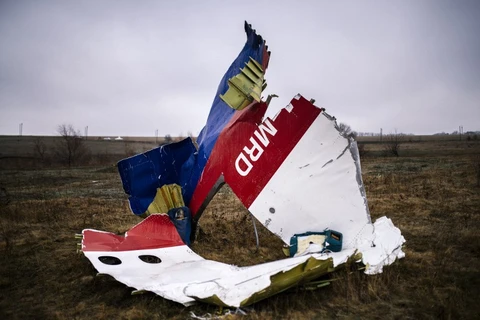Mảnh vỡ của chiếc máy bay mang số hiệu MH17. (Nguồn: AFP)