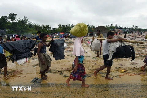 Người tị nạn Hồi giáo Rohingya tại trại tị nạn ở Balukhali, Bangladesh. (Nguồn: AFP/TTXVN)