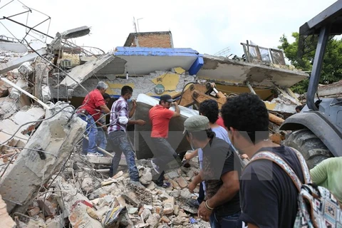 Tình nguyện viên dọn dẹp hiện trường đổ nát sau vụ động đất tại Mexico City ngày 20/9. (Nguồn: THX/TTXVN)