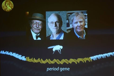 Ba nhà khoa học đoạt giải Nobel Y học 2017. (Nguồn: Polskatimes)