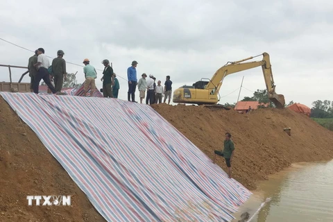 Chính quyền địa phương và nhân dân đang gia cố đê đề phòng nước lũ dâng cao trước cơn bão số 11. (Ảnh: Nguyễn Nam/TTXVN)