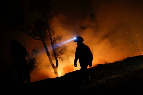 Cháy rừng ở Bồ Đào Nha. (Nguồn: Reuters)