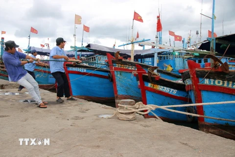 Cảng Đông Hải ở Ninh Thuận. (Nguồn: TTXVN)