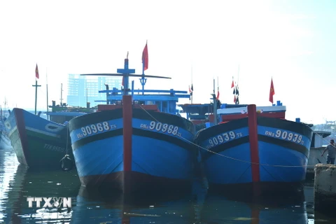 Những tàu cá của ngư dân phường Nại Hiên Đồng, quận Sơn Trà được đóng mới theo Quyết định 47 của thành phố Đà Nẵng. (Ảnh: Đinh Văn Nhiều/TTXVN)