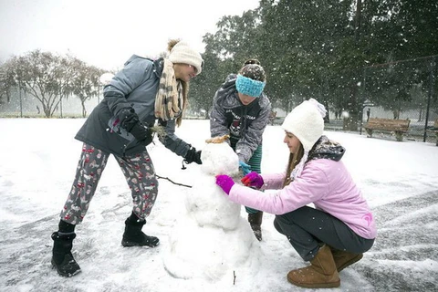 Người dân Florida đùa nghịch với tuyết. (Nguồn: Effingham Daily News)