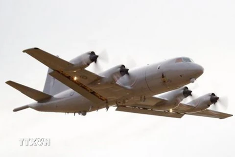 Máy bay P3 Orion của Không lực New Zealand tham gia chiến dịch tìm kiếm tàu mất tích MV Butiraoi của Kiribati. (Nguồn: BBC/TTXVN)