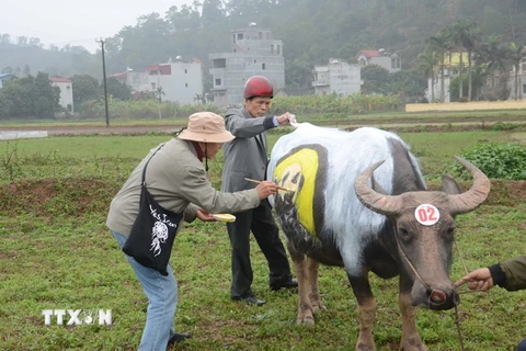 Họa sỹ thể hiện ý tưởng nghệ thuật trên mình trâu. (Ảnh: Nguyễn Thị Chinh/TTXVN)