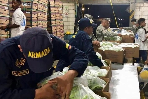 An ninh Colombia kiểm tra số ma túy thu giữ. (Nguồn: colombiareports)
