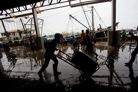 Ngư dân tại một chợ cá ở tỉnh Samut Sakhon, phía tây Bangkok. (Nguồn: AP)