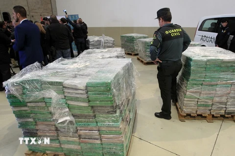 Cảnh sát gác bên số ma túy thu giữ tại Algeciras, Tây Ban Nha. (Nguồn: AFP/TTXVN)