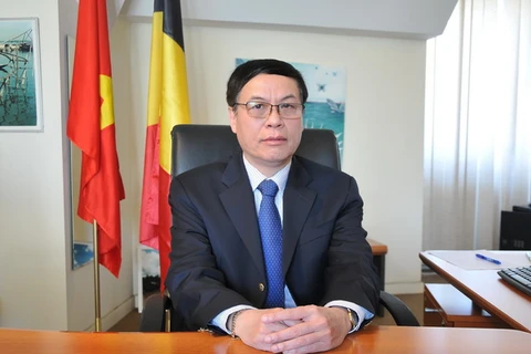 Đại sứ Việt Nam tại Vương quốc Bỉ, Vũ Anh Quang. (Ảnh: Kim Chung/TTXVN)