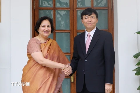 Thứ trưởng Ngoại giao Đặng Đình Quý và Bí thư phương Đông Bộ Ngoại giao Ấn Độ Preeti Saran đồng chủ trì cuộc họp. (Ảnh: Huy Bình/TTXVN)