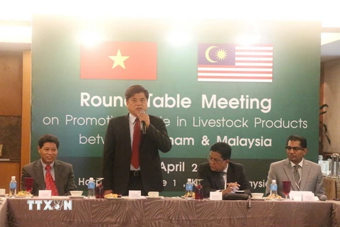 Thứ trưởng Trần Thanh Nam phát biểu tại hội nghị. (Ảnh: Hoàng Đình Nhương/TTXVN)
