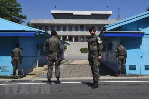 Binh sỹ Hàn Quốc gác tại khu vực phi quân sự ở làng đình chiến Panmunjom. (Nguồn: AFP/TTXVN)