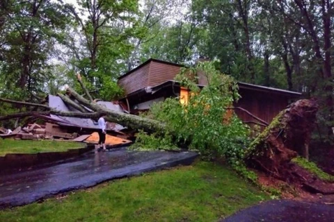 Bão lớn làm đổ cây gây ảnh hưởng đời sống người dân. (Nguồn: restonnow.com)