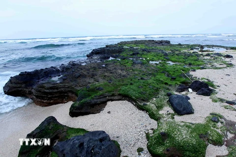 Đảo Lý Sơn, vùng đất nhiều tiềm năng phát triển du lịch. (Ảnh: Quý Trung/TTXVN)