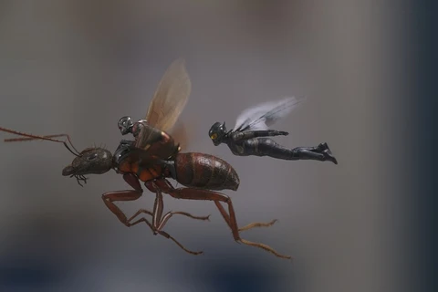 Poster phim Ant-Man 2.