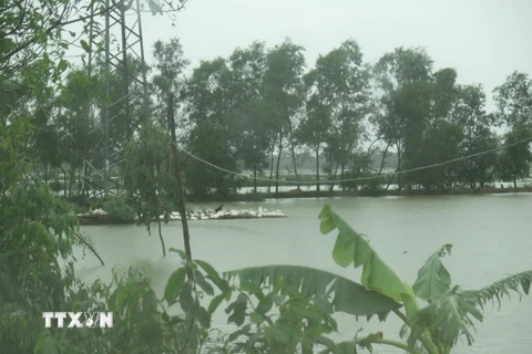 Nước ngập do mưa bão ở Nghệ An. (Ảnh: Nguyễn Văn Nhật/TTXVN)