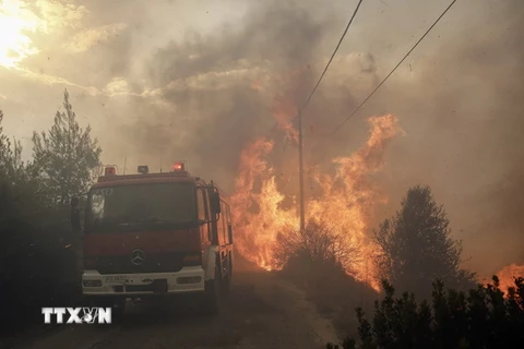 Khói lửa bốc lên từ đám cháy rừng ở Neo Voutsa, ngoại ô thủ đô Athens, Hy Lạp ngày 23/7. (Ảnh: EPA-EFE/TTXVN)