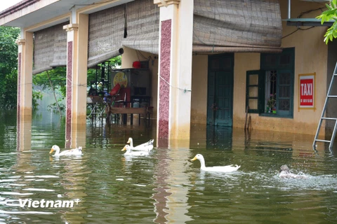 Nhiều khu vực trong huyện vẫn chìm trong biển nước.(Ảnh: Vietnam+)